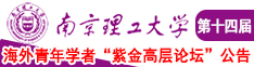 把美女艹出水南京理工大学第十四届海外青年学者紫金论坛诚邀海内外英才！